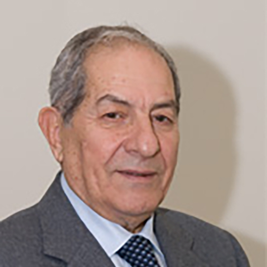 Prof. Gaetano Crepaldi (IT)