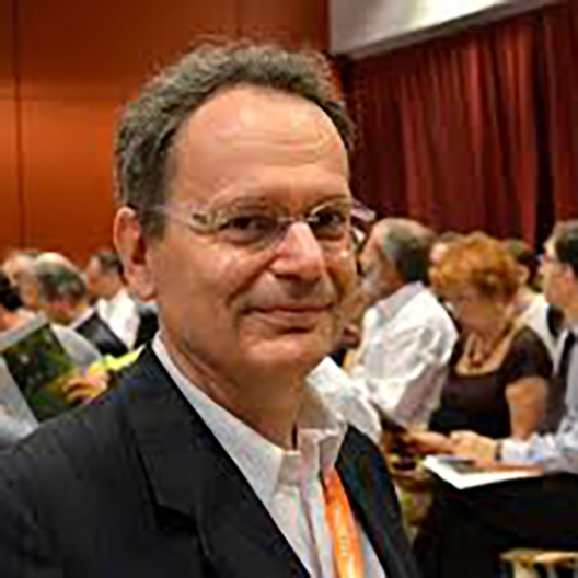 Prof. Guglielmo Weber (IT)